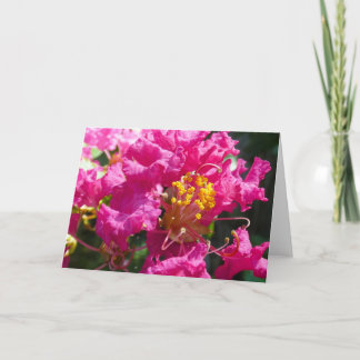 "Crepe Myrtle 1." Wenskaart Kaart