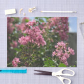 Crepe Myrtle blossom tissuepapier (Craft)