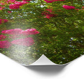 Crepe Myrtle Foto Afdruk (Hoek)