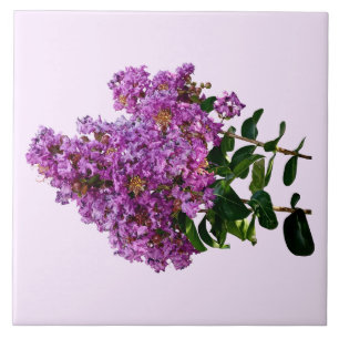 Crepe Myrtle Tegeltje