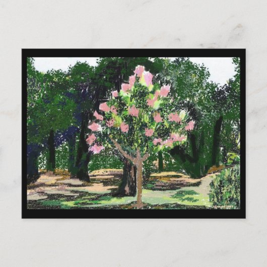 Crepe Myrtle Tree Briefkaart (Voorkant)