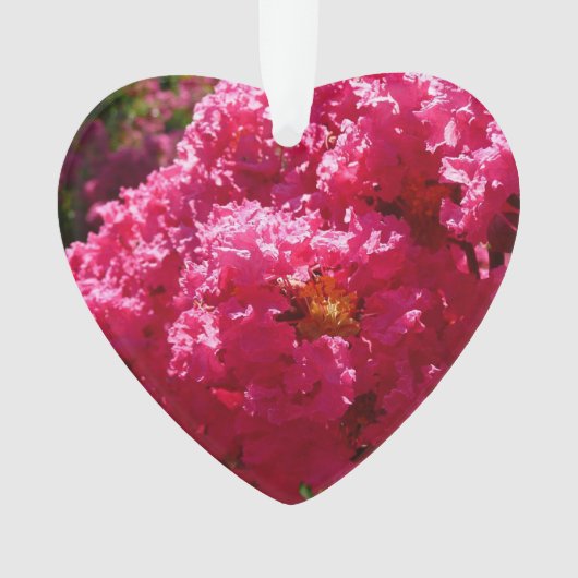 Crepe Myrtle Tree Magenta Floral (devant)