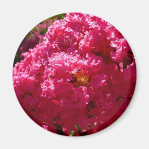 Crepe Myrtle Tree Magenta Floral Magneet