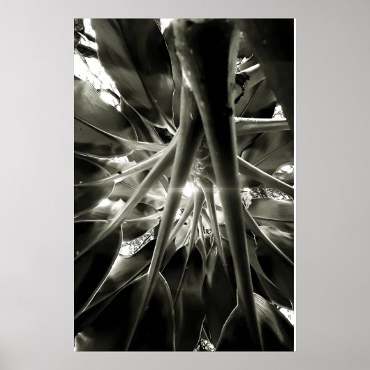 crescendo poster (Voorkant)