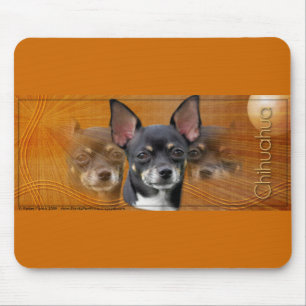 Crescent Moon - Isabella Muismat