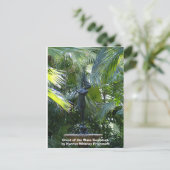 CREST van het Beeldhouwwerk van de Golf Briefkaart (Staand voorkant)