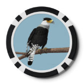 Crested Caracara Clay Poker Chip (Achterkant)