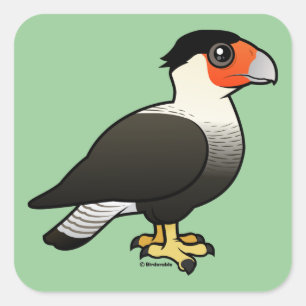 Crested Caracara Vierkante Sticker