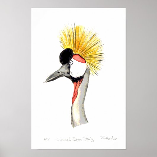Crested Crane Poster (Voorkant)