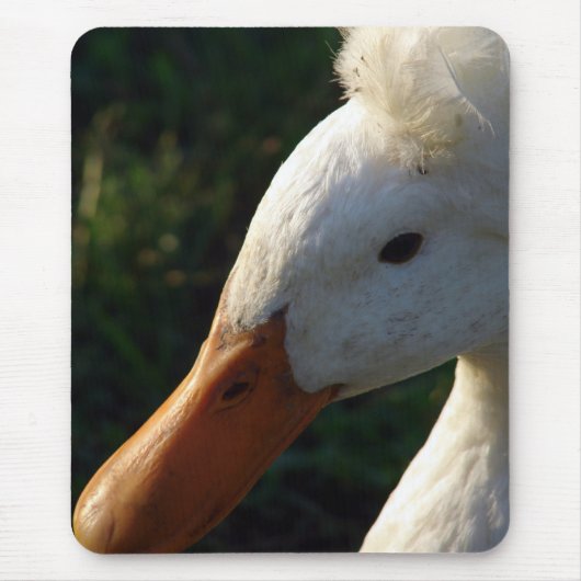 Crested Duck Muismat (Voorkant)