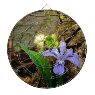 Crested Dwarf Iris blue paarse witte bloem Dartbord