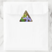Crested Dwarf Iris blue paarse witte bloem Driehoek Sticker (Tas)