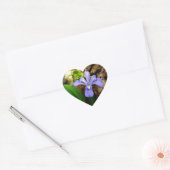 Crested Dwarf Iris blue paarse witte bloem Hart Sticker (Envelop)