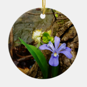 Crested Dwarf Iris blue paarse witte bloem Keramisch Ornament