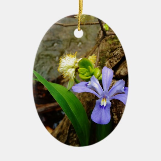 Crested Dwarf Iris blue paarse witte bloem Keramisch Ornament (Voorkant)