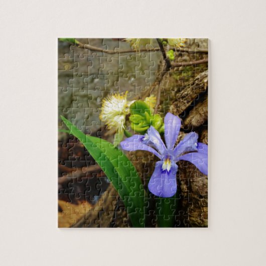 Crested Dwarf Iris blue paarse witte bloem Legpuzzel (Verticaal)