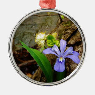 Crested Dwarf Iris blue paarse witte bloem Metalen Ornament