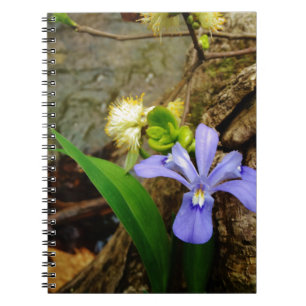 Crested Dwarf Iris blue paarse witte bloem Notitieboek