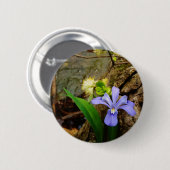 Crested Dwarf Iris blue paarse witte bloem Ronde Button 5,7 Cm (Voorkant /achterkant)