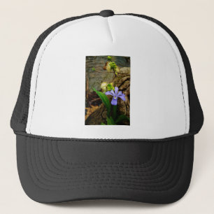 Crested Dwarf Iris blue paarse witte bloem Trucker Pet