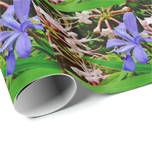 Crested Dwarf Iris Cadeaupapier (Rol Hoek)