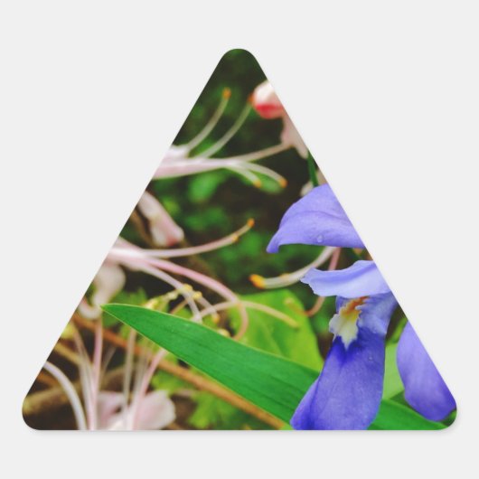 Crested Dwarf Iris Driehoek Sticker (Voorkant)
