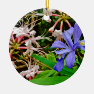Crested Dwarf Iris Keramisch Ornament