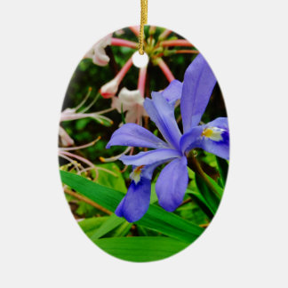 Crested Dwarf Iris Keramisch Ornament
