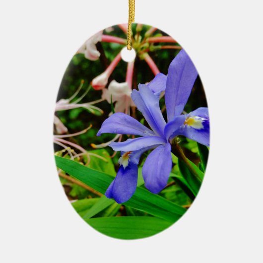 Crested Dwarf Iris Keramisch Ornament (Voorkant)