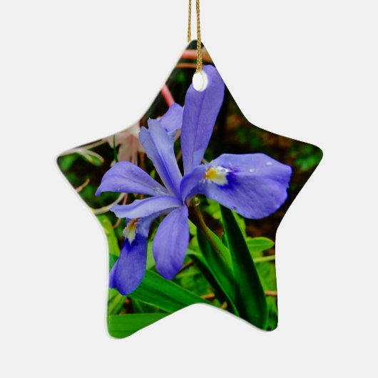 Crested Dwarf Iris Keramisch Ornament (Rechts)