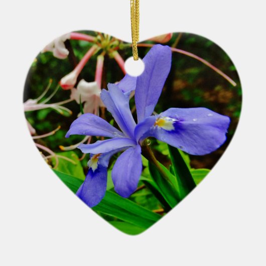 Crested Dwarf Iris Keramisch Ornament (Voorkant)