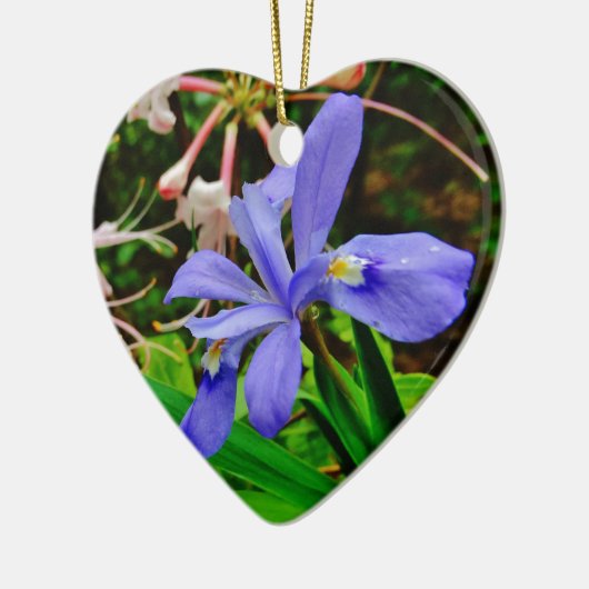 Crested Dwarf Iris Keramisch Ornament (Links)