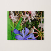 Crested Dwarf Iris Legpuzzel (Horizontaal)