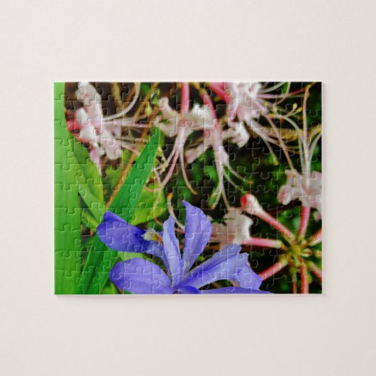 Crested Dwarf Iris Legpuzzel (Horizontaal)