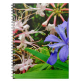 Crested Dwarf Iris Notitieboek (Voorkant)