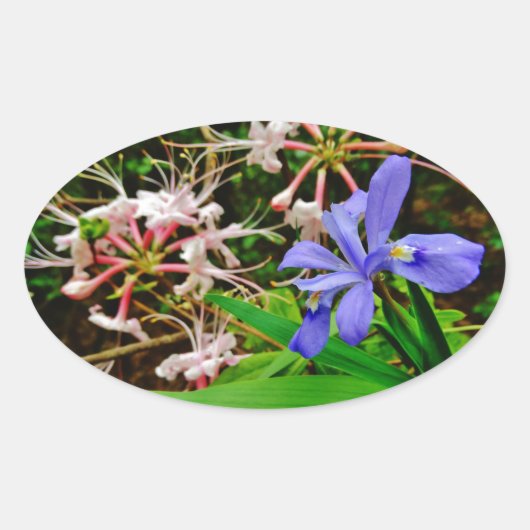 Crested Dwarf Iris Ovale Sticker (Voorkant)
