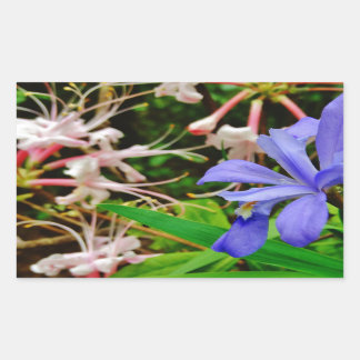 Crested Dwarf Iris Rechthoekige Sticker