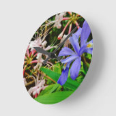 Crested Dwarf Iris Ronde Klok (Hoek)