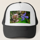 Crested Dwarf Iris Trucker Pet (Voorkant)