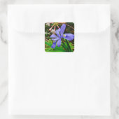 Crested Dwarf Iris Vierkante Sticker (Tas)