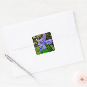 Crested Dwarf Iris Vierkante Sticker (Envelop)