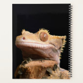 Crested Gecko hagedis op zwart Planner (Achterkant)
