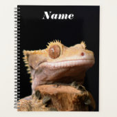 Crested Gecko hagedis op zwart Planner (Voorkant)