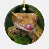 Crested Gecko Lizard Keramisch Ornament (Achterkant)