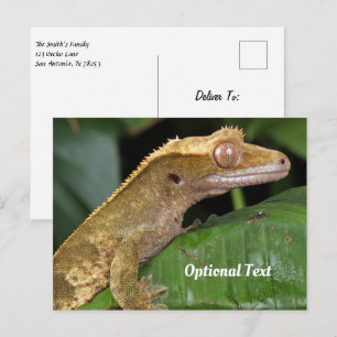 Crested Gecko op een blad Briefkaart