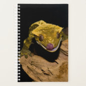 Crested Gecko Planner (Voorkant)