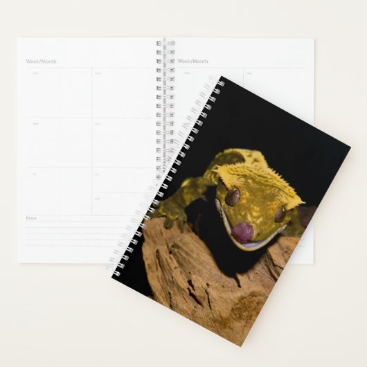 Crested Gecko Planner (Display)