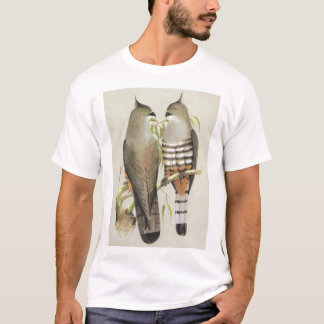 Crested Hawk - Aviceda subcristata T-shirt