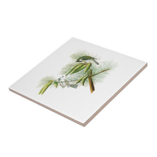 Crested Titmouse John James Audubon Birds America Tegeltje