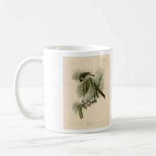 Crested (Tufted) Titmouse Audubon Birds of America Koffiemok